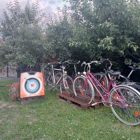 Casa Raisa & Maria Otel Ocna Sibiului Dış mekan fotoğraf