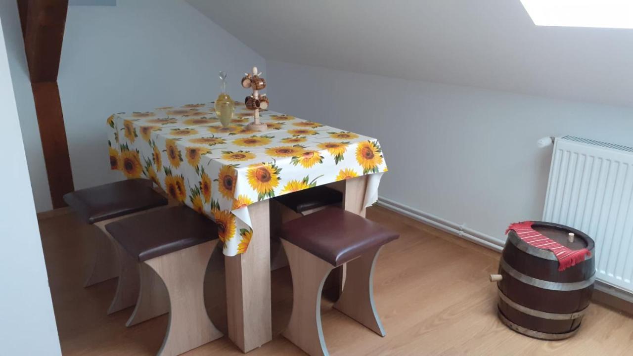 Casa Raisa & Maria Otel Ocna Sibiului Dış mekan fotoğraf