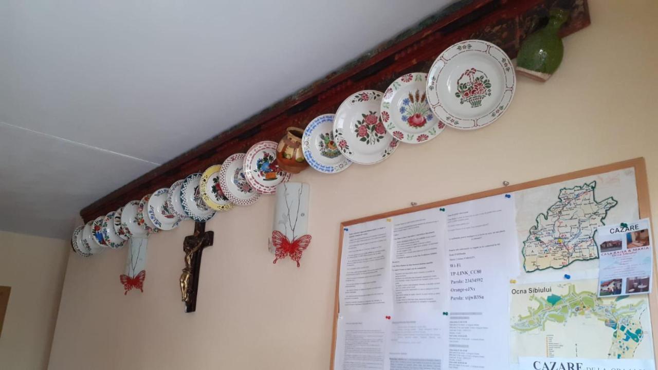 Casa Raisa & Maria Otel Ocna Sibiului Dış mekan fotoğraf