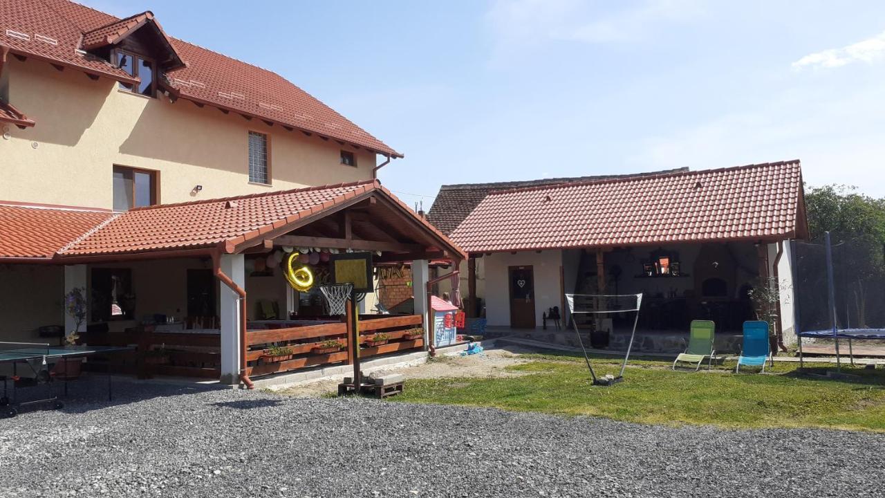 Casa Raisa & Maria Otel Ocna Sibiului Dış mekan fotoğraf