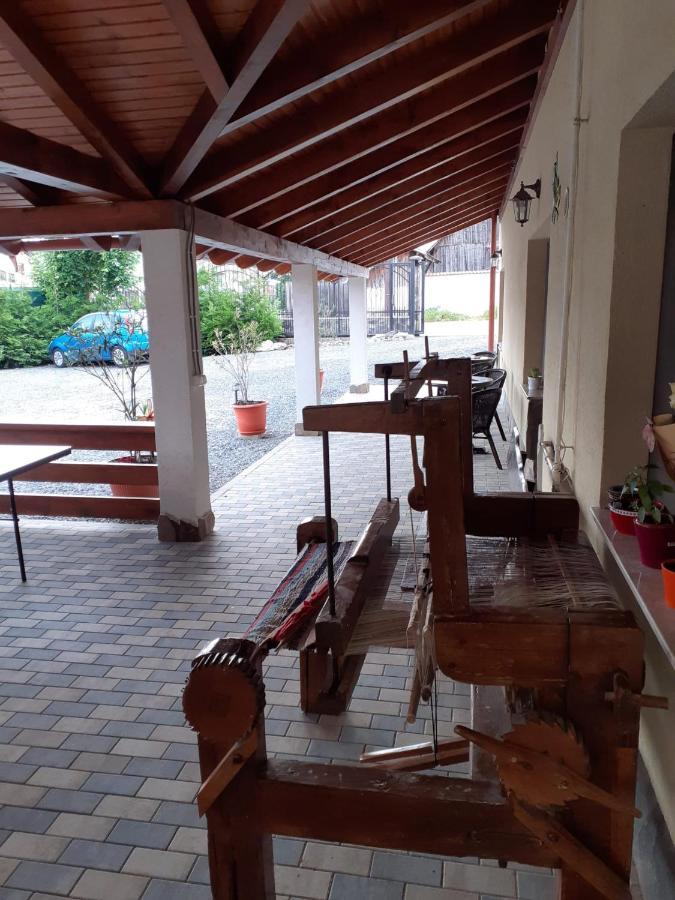 Casa Raisa & Maria Otel Ocna Sibiului Dış mekan fotoğraf