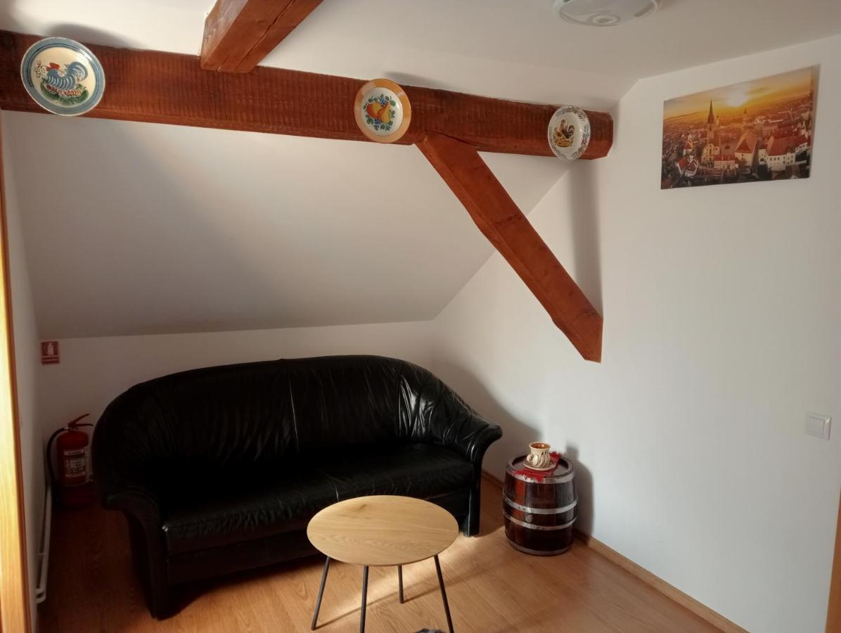 Casa Raisa & Maria Otel Ocna Sibiului Dış mekan fotoğraf