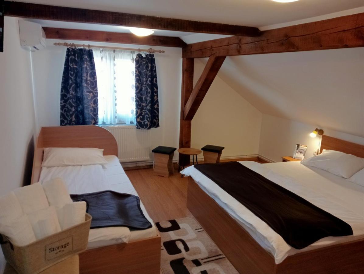 Casa Raisa & Maria Otel Ocna Sibiului Dış mekan fotoğraf