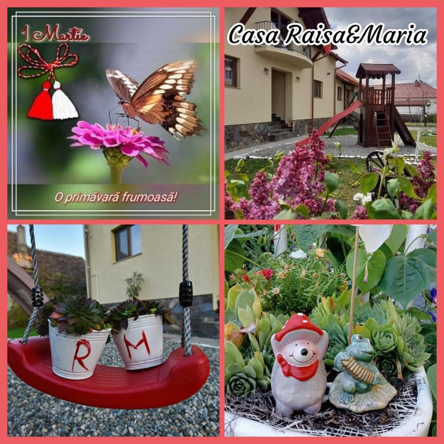 Casa Raisa & Maria Otel Ocna Sibiului Dış mekan fotoğraf