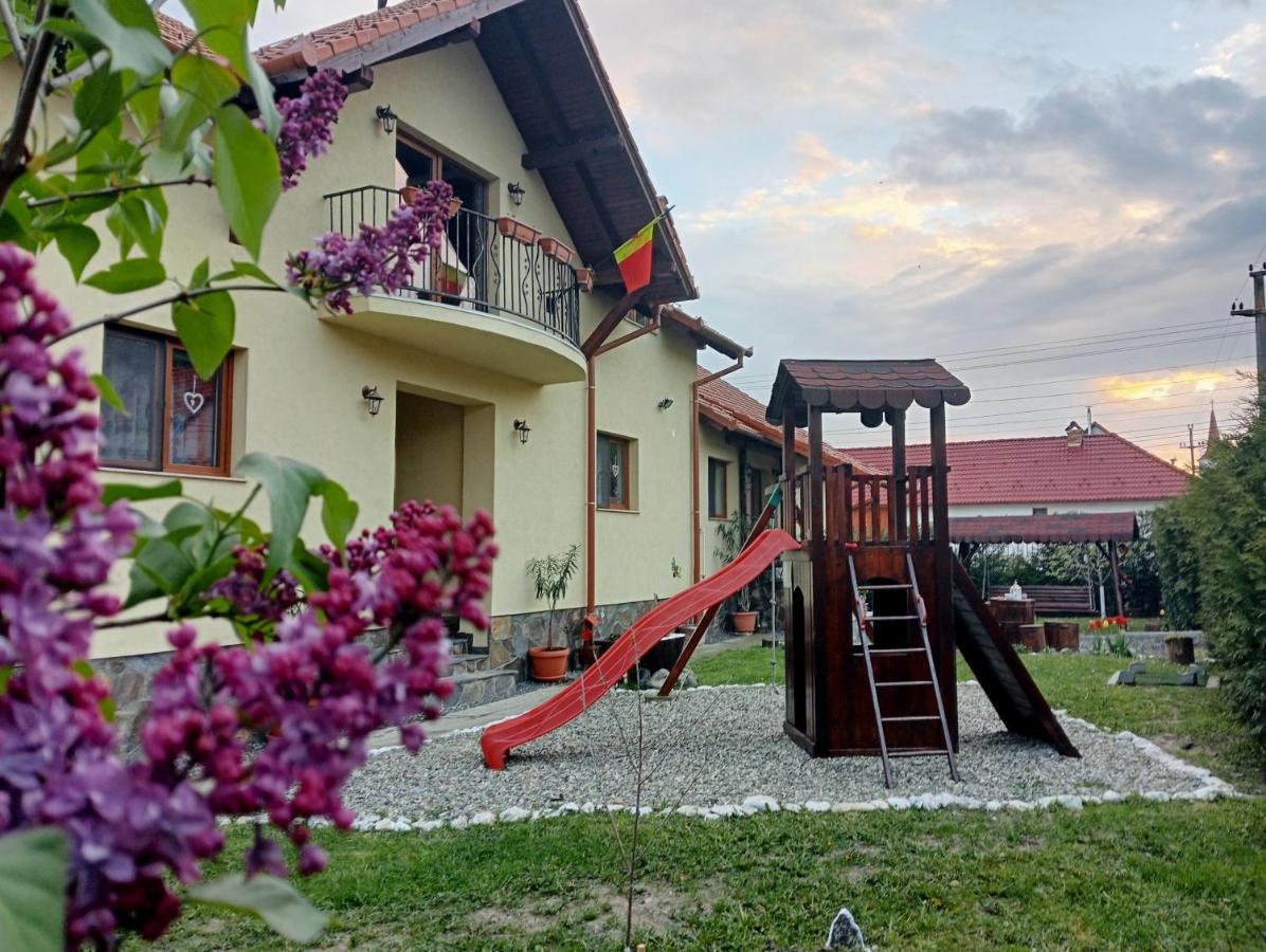 Casa Raisa & Maria Otel Ocna Sibiului Dış mekan fotoğraf
