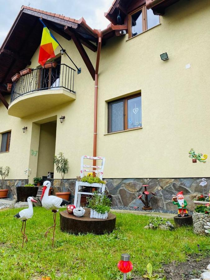 Casa Raisa & Maria Otel Ocna Sibiului Dış mekan fotoğraf