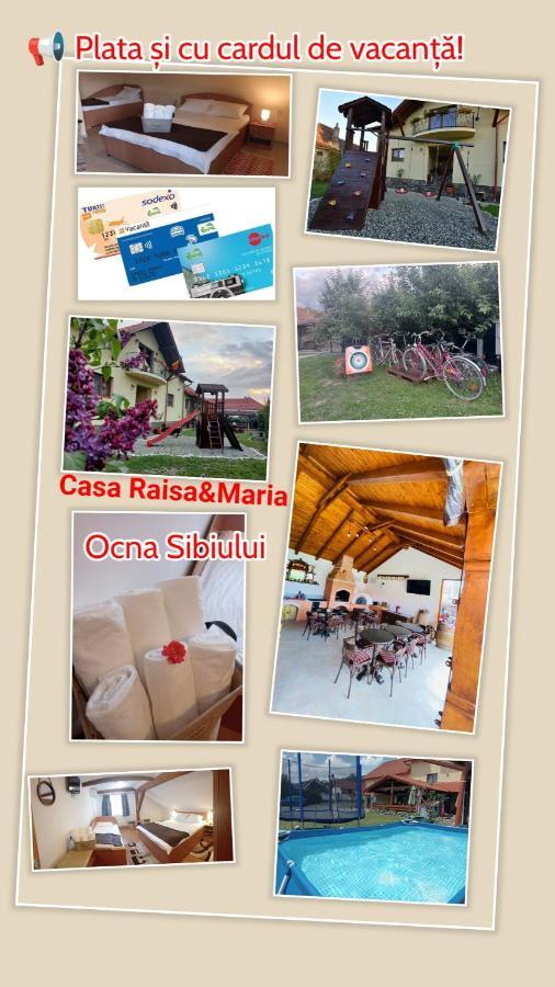Casa Raisa & Maria Otel Ocna Sibiului Dış mekan fotoğraf