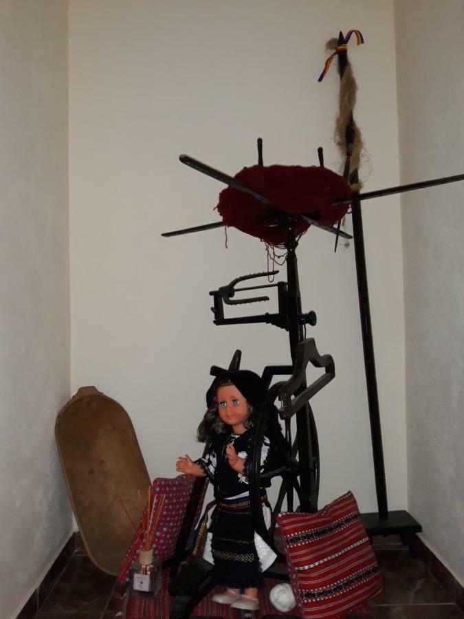 Casa Raisa & Maria Otel Ocna Sibiului Dış mekan fotoğraf